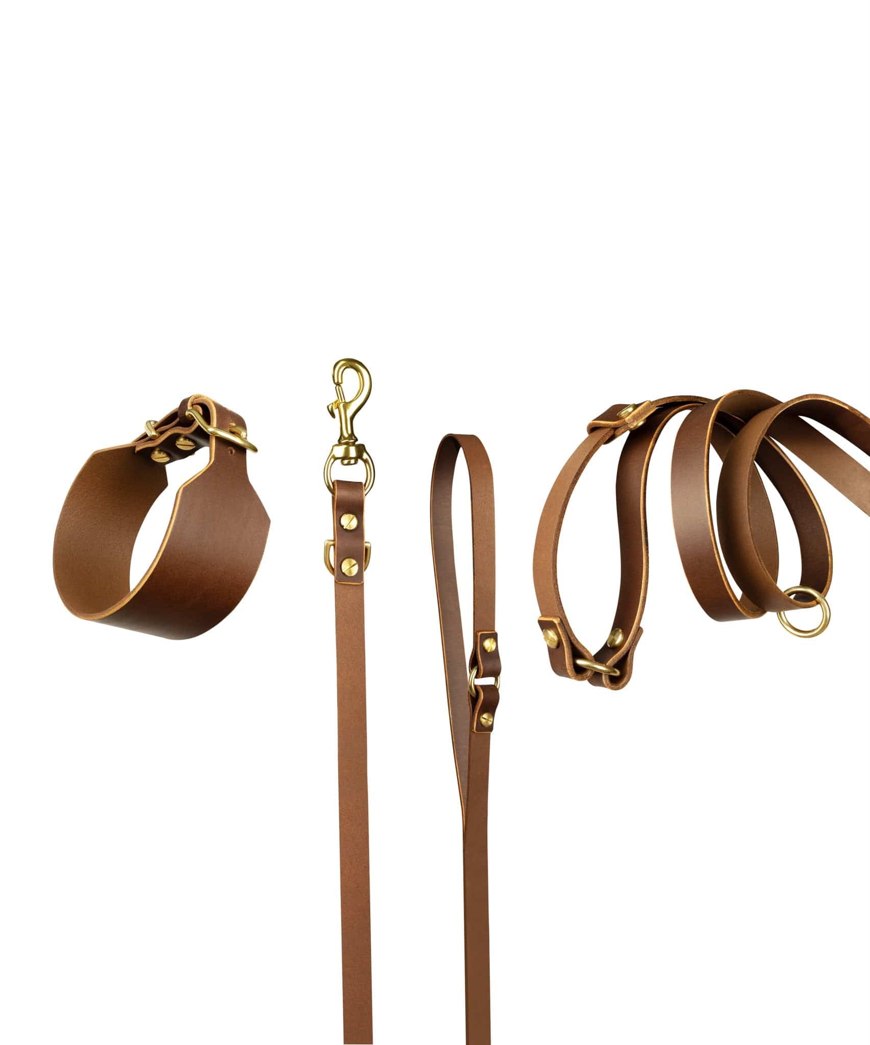 Atlas Leather Collar and Aura Handsfree Leash bundle in coffee brown, durable leather dog collar with handsfree leash for active pets.