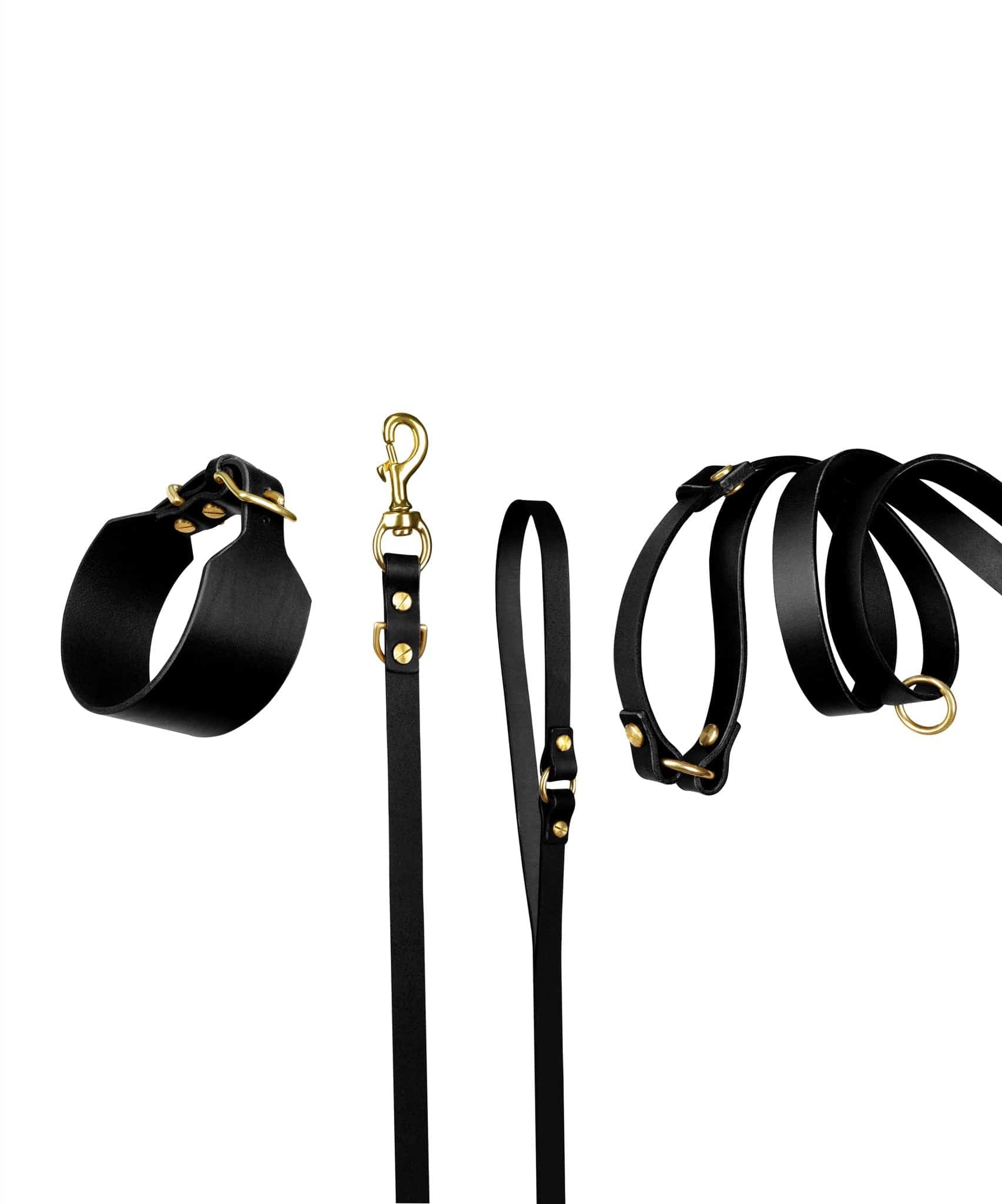 Atlas Leather Collar and Aura Handsfree Leash in Noir from The Dogs Company, featuring a sleek black leather collar and matching leash.