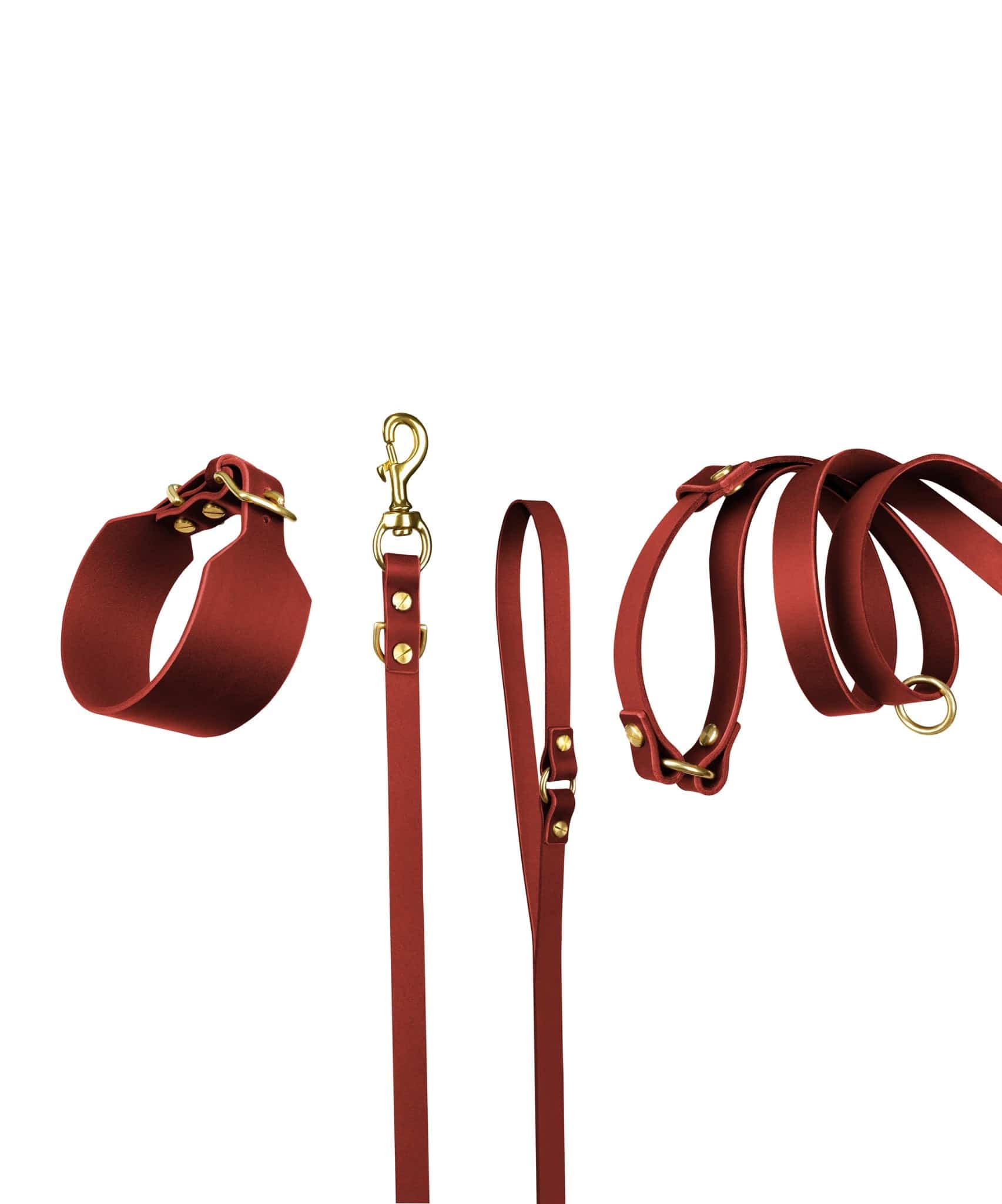 Atlas Leather Collar and Aura Handsfree Leash bundle in Burgundy Red by The Dogs Company, featuring a leather collar and handsfree leash.