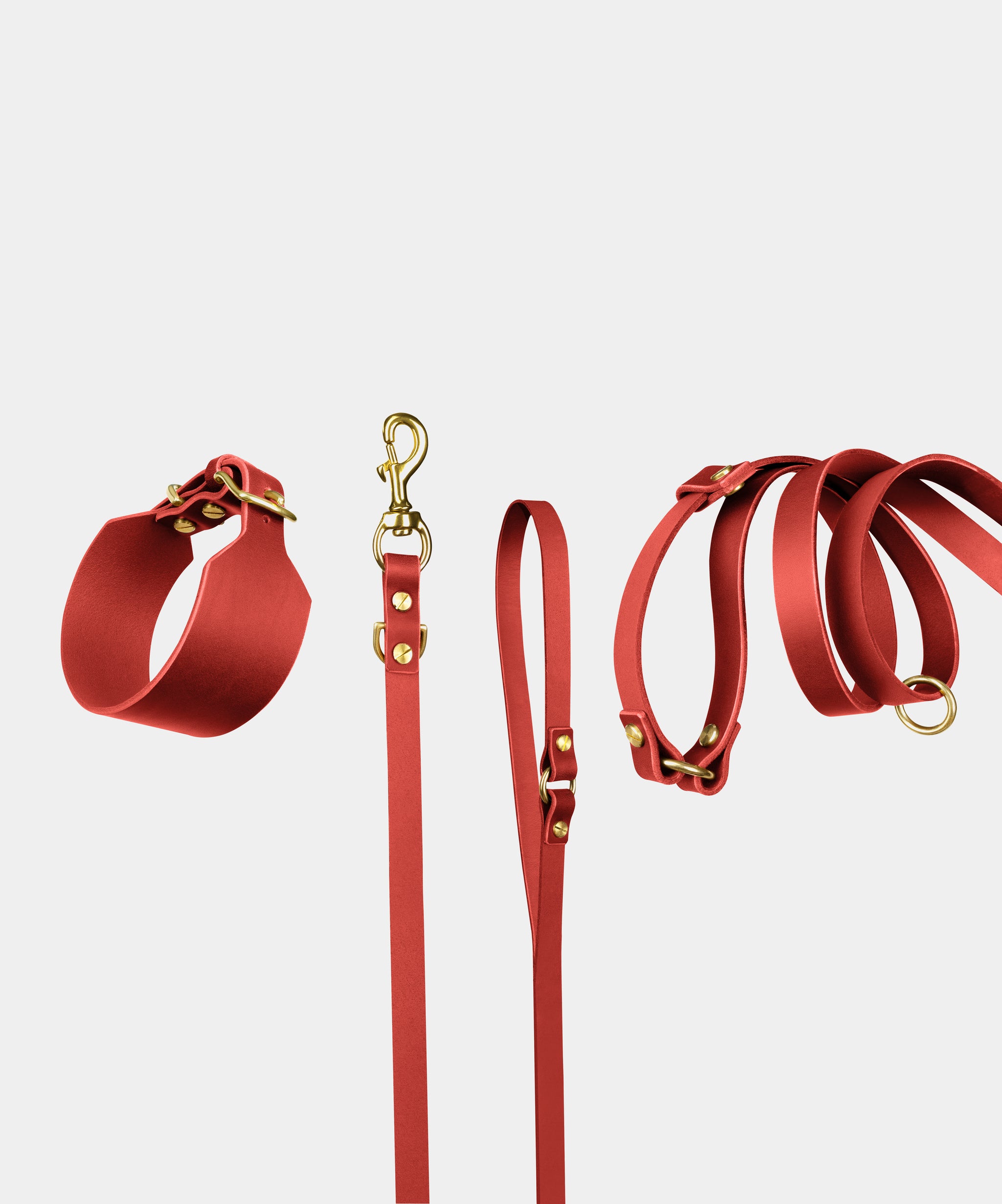 Atlas Leather Collar & Aura Handsfree Leash in Burgundy Red