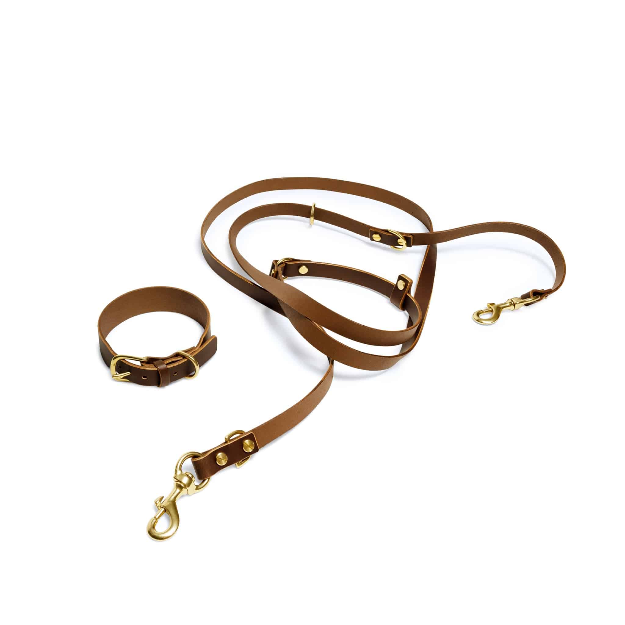 Grace Leather Collar and Aura Handsfree Leash bundle by The Dogs Company in coffee brown, showcasing the stylish leather collar and leash.