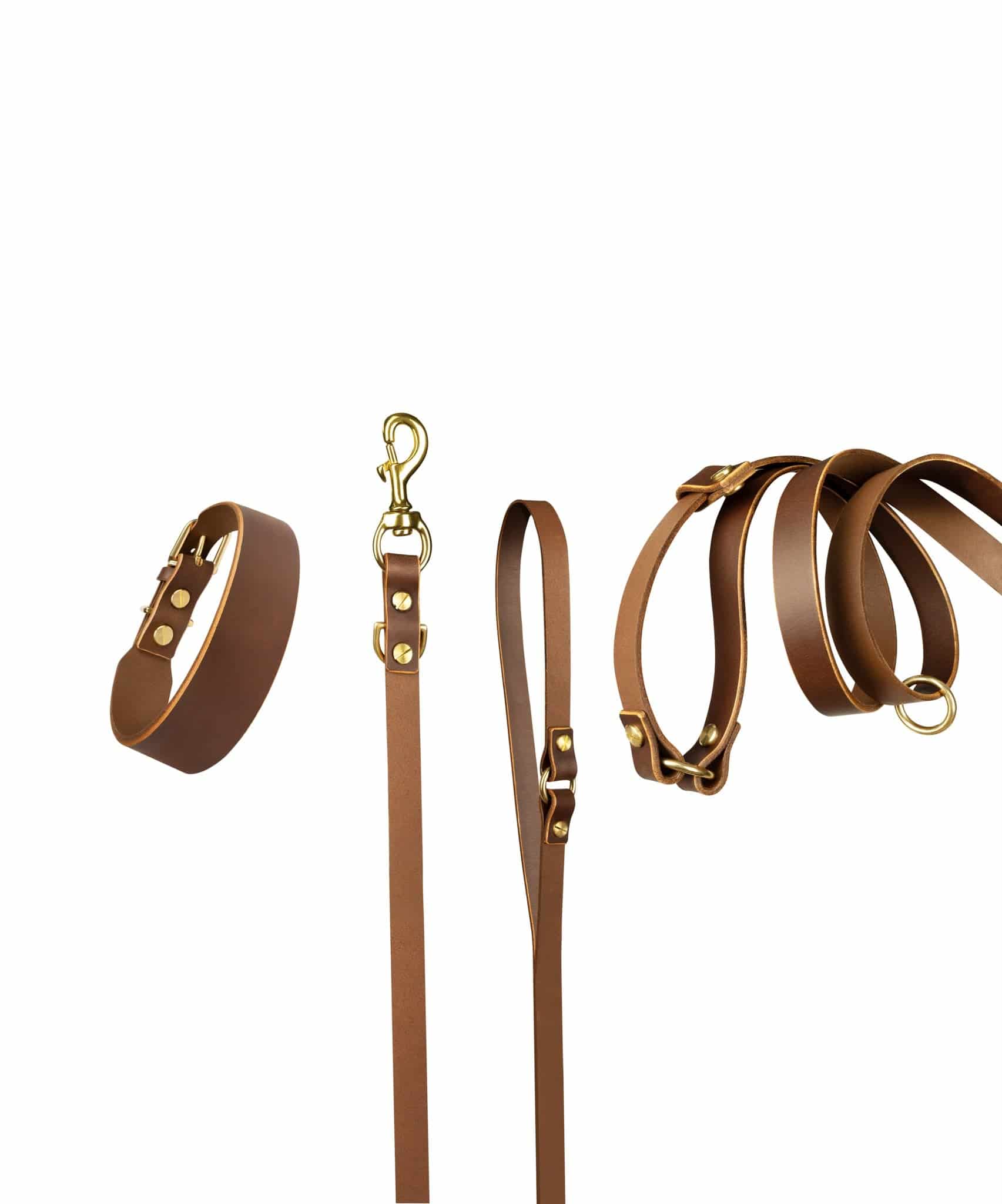 Grace leather collar and Aura handsfree leash bundle from The Dogs Company in coffee brown, featuring durable leather and adjustable design.