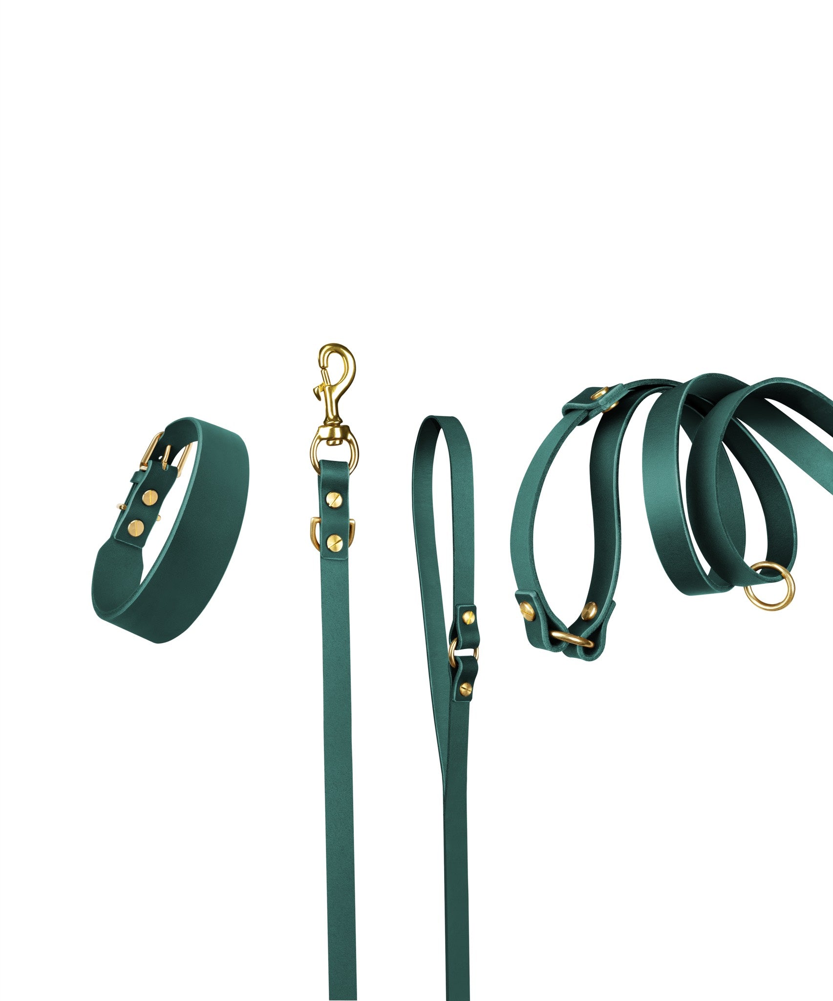 Grace Leather Collar and Aura Handsfree Leash bundle in forest green from The Dogs Company, featuring a stylish collar and versatile leash.