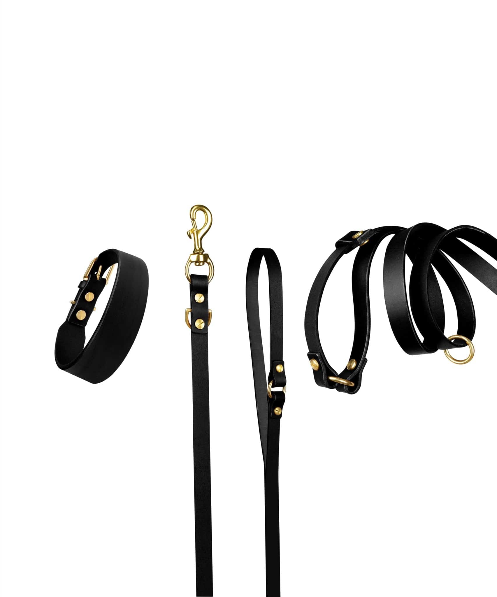 Grace Leather Collar and Aura Handsfree Leash bundle in black from The Dogs Company, featuring a stylish leather collar and leash set.
