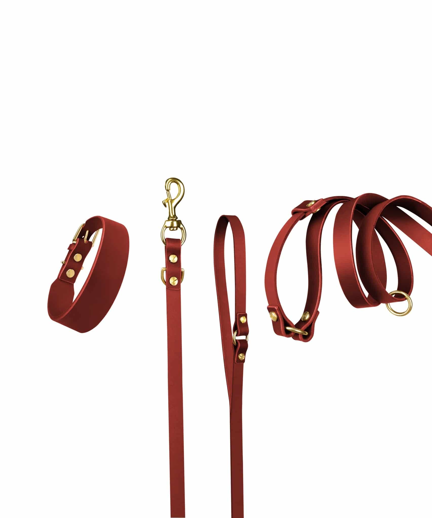 Grace leather collar and Aura handsfree leash in burgundy red from The Dogs Company, displayed on a dog.