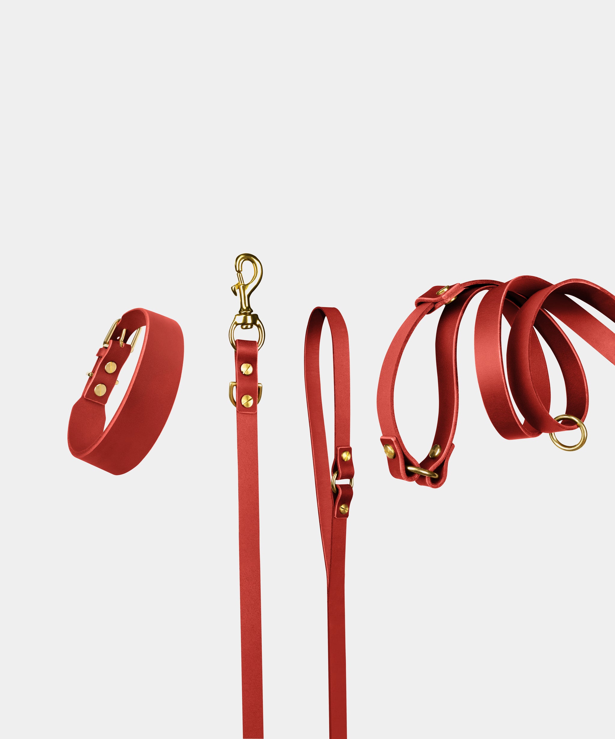 Grace Leather Collar & Aura Handsfree Leash in Burgundy Red