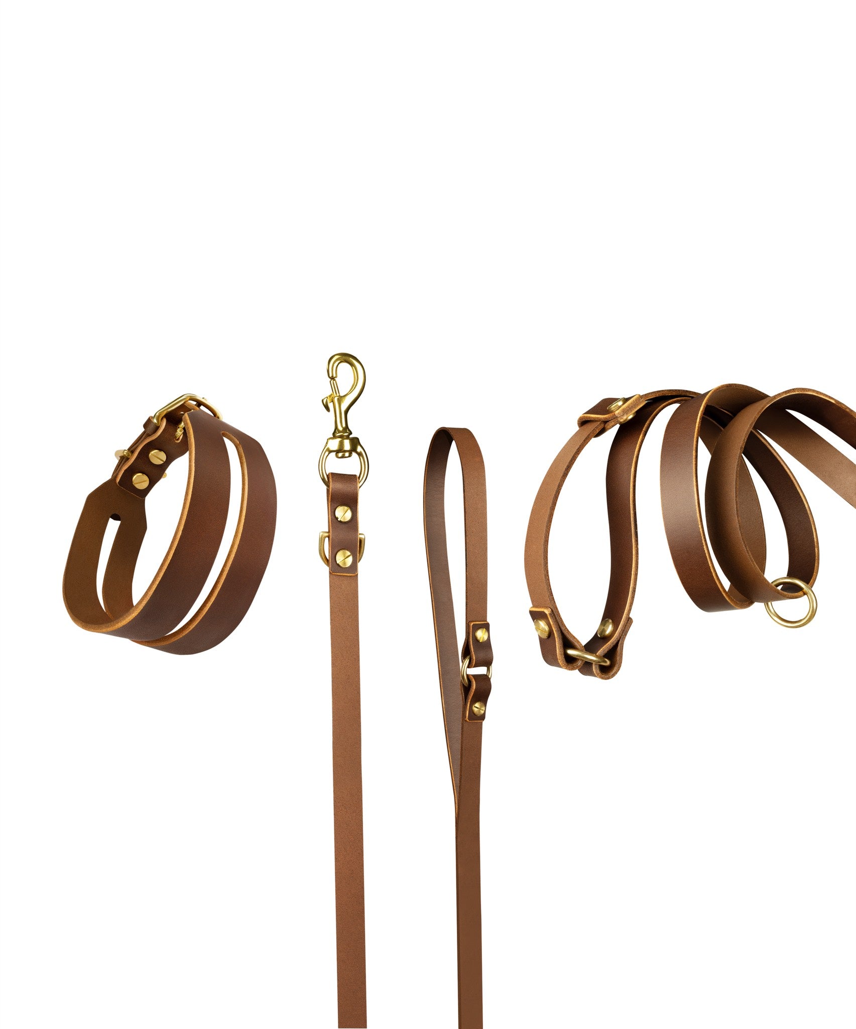 Halo leather collar and Aura handsfree leash bundle by The Dogs Company in coffee brown, showcasing durable leather and adjustable design.