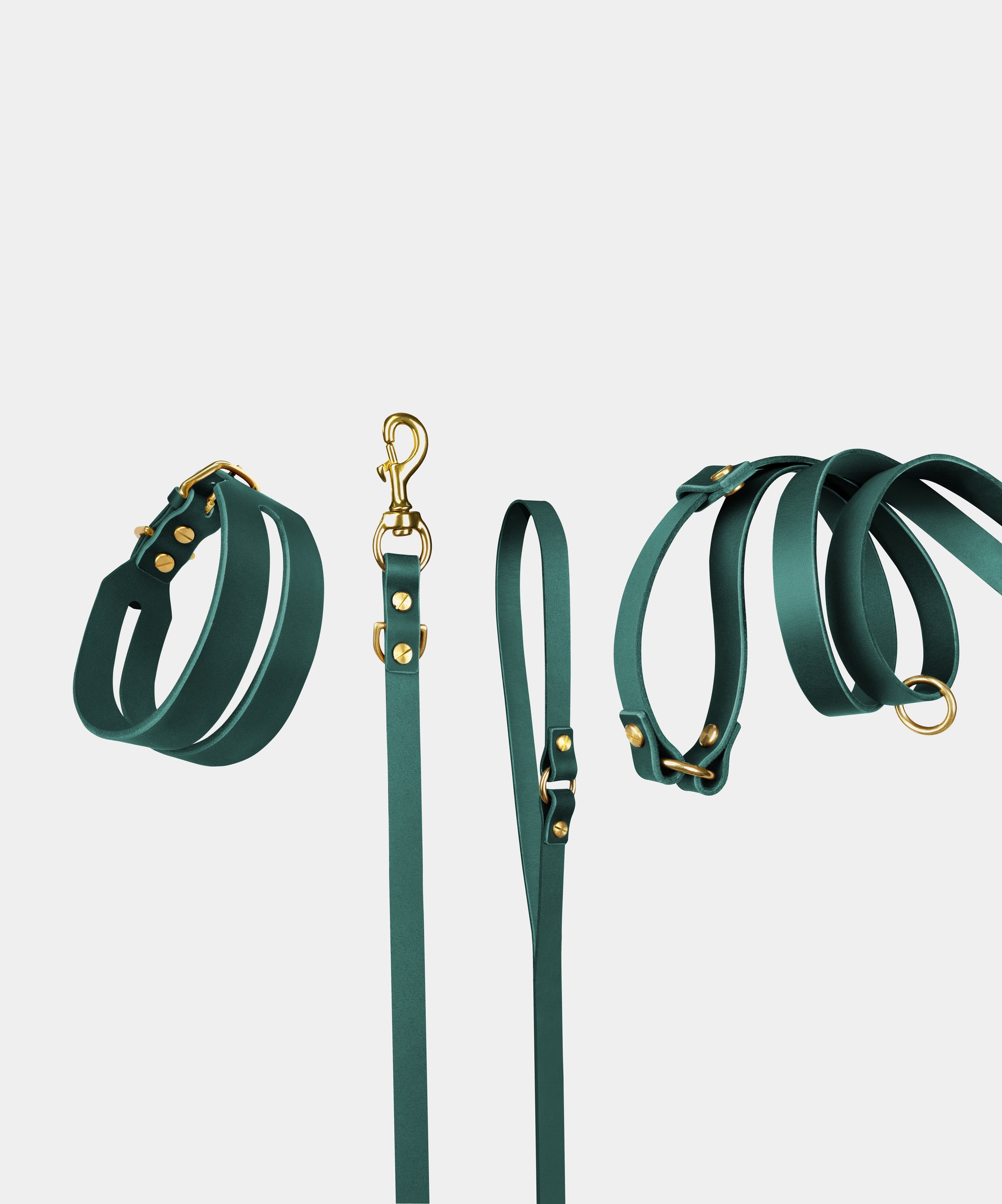 Halo Leather Collar & Aura Handsfree Leash in Forest Green