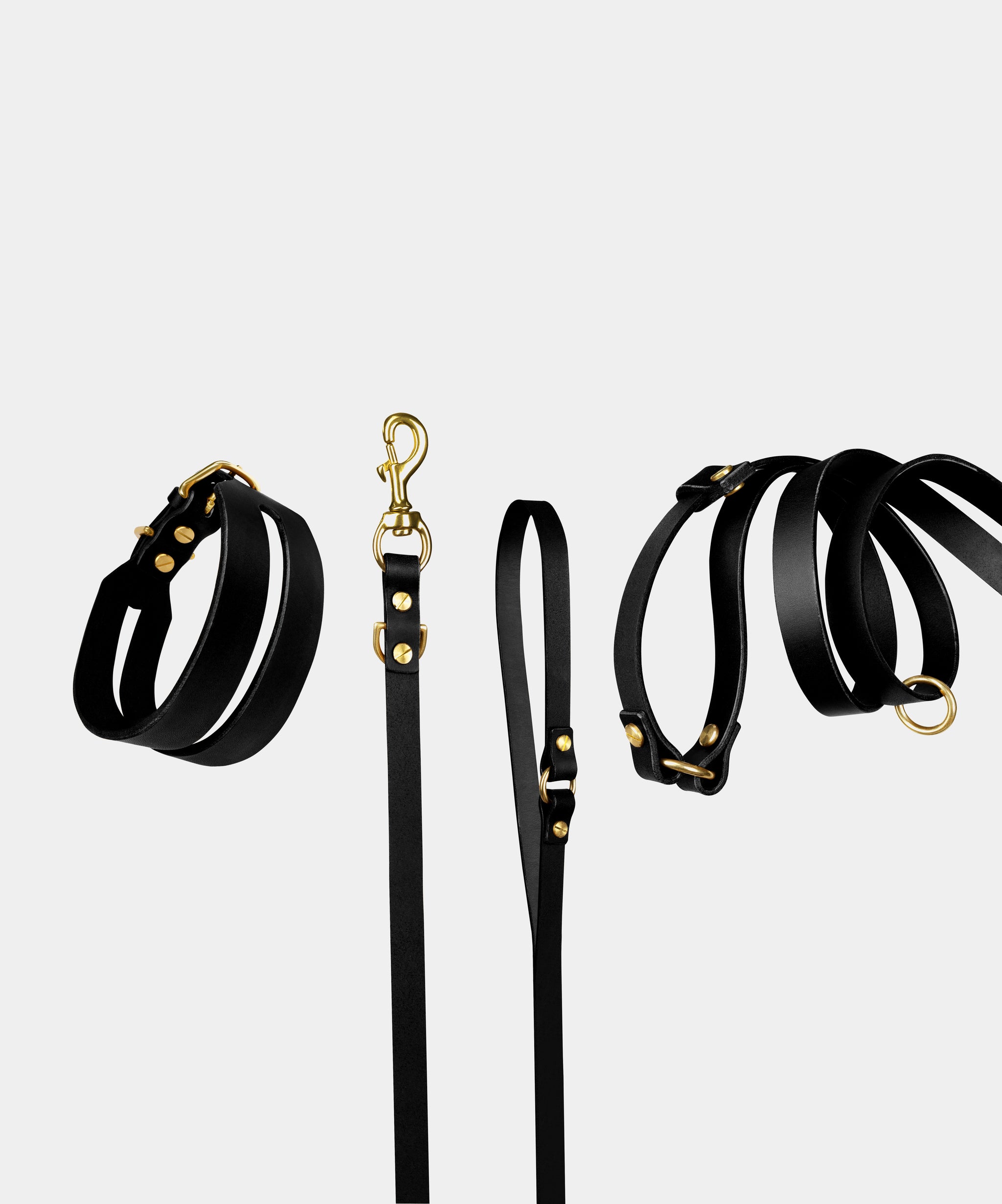 Halo Leather Collar & Aura Handsfree Leash in Noir