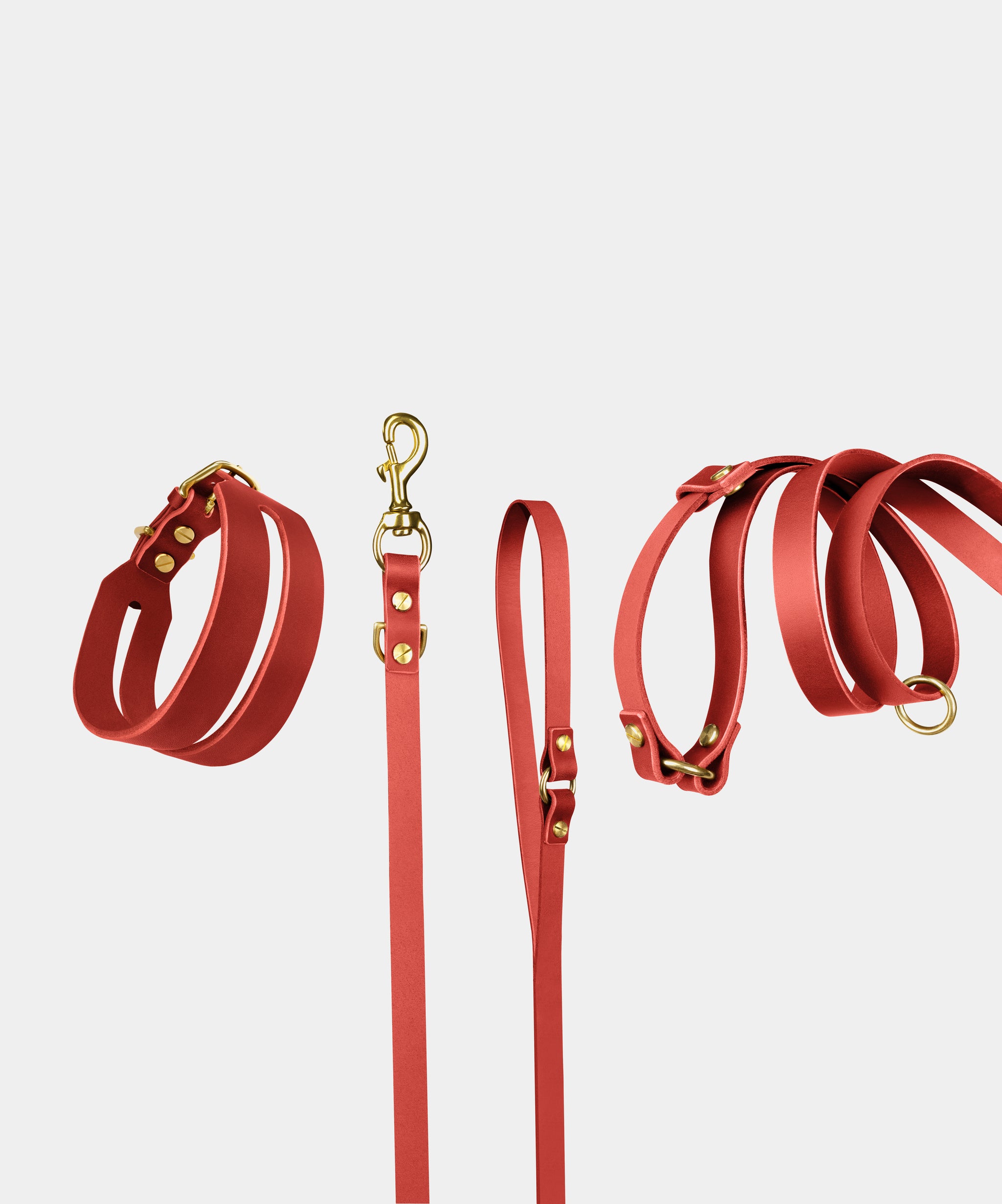 Halo Leather Collar & Aura Handsfree Leash in Burgundy Red