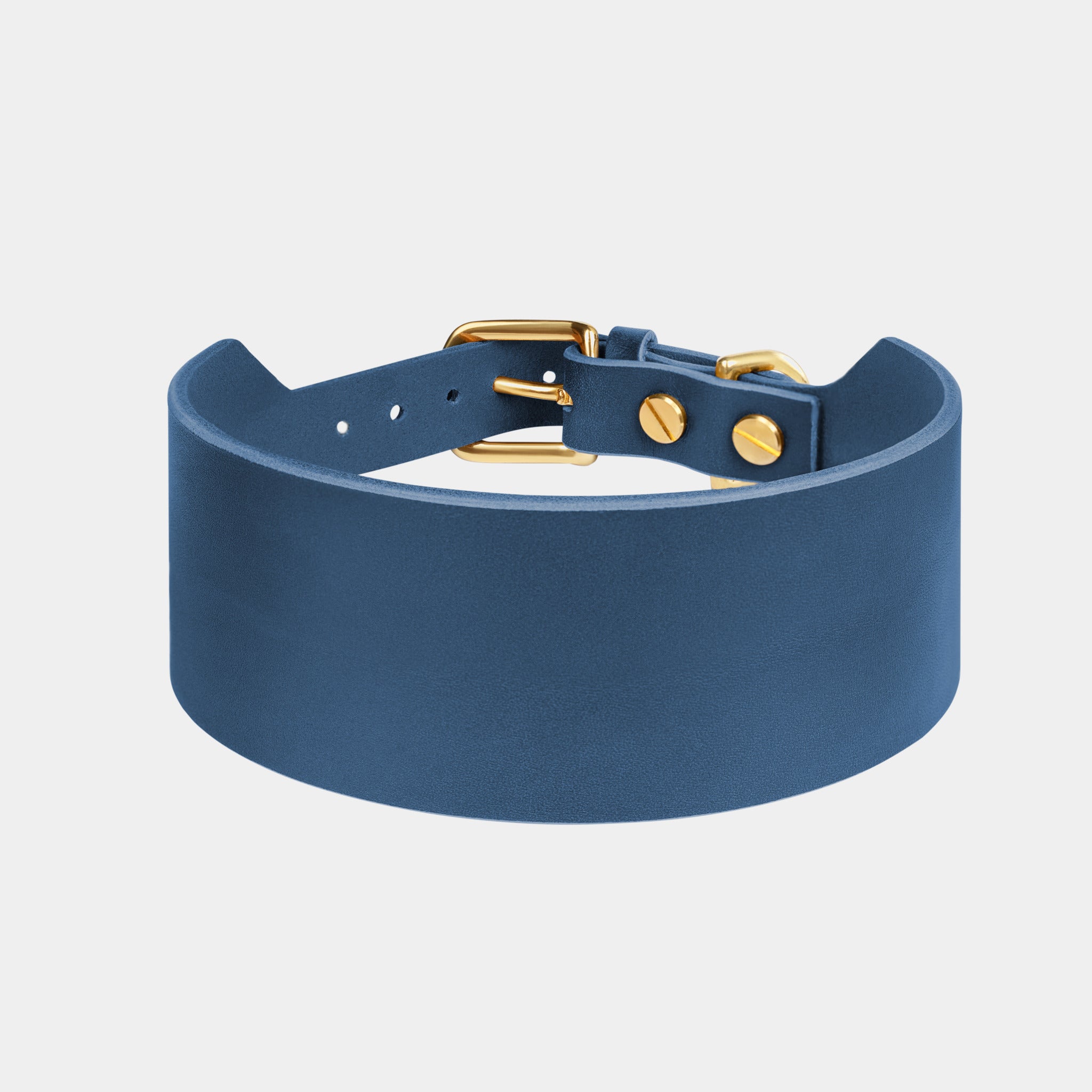 Atlas Wide Dog Collar in Midnight Navy