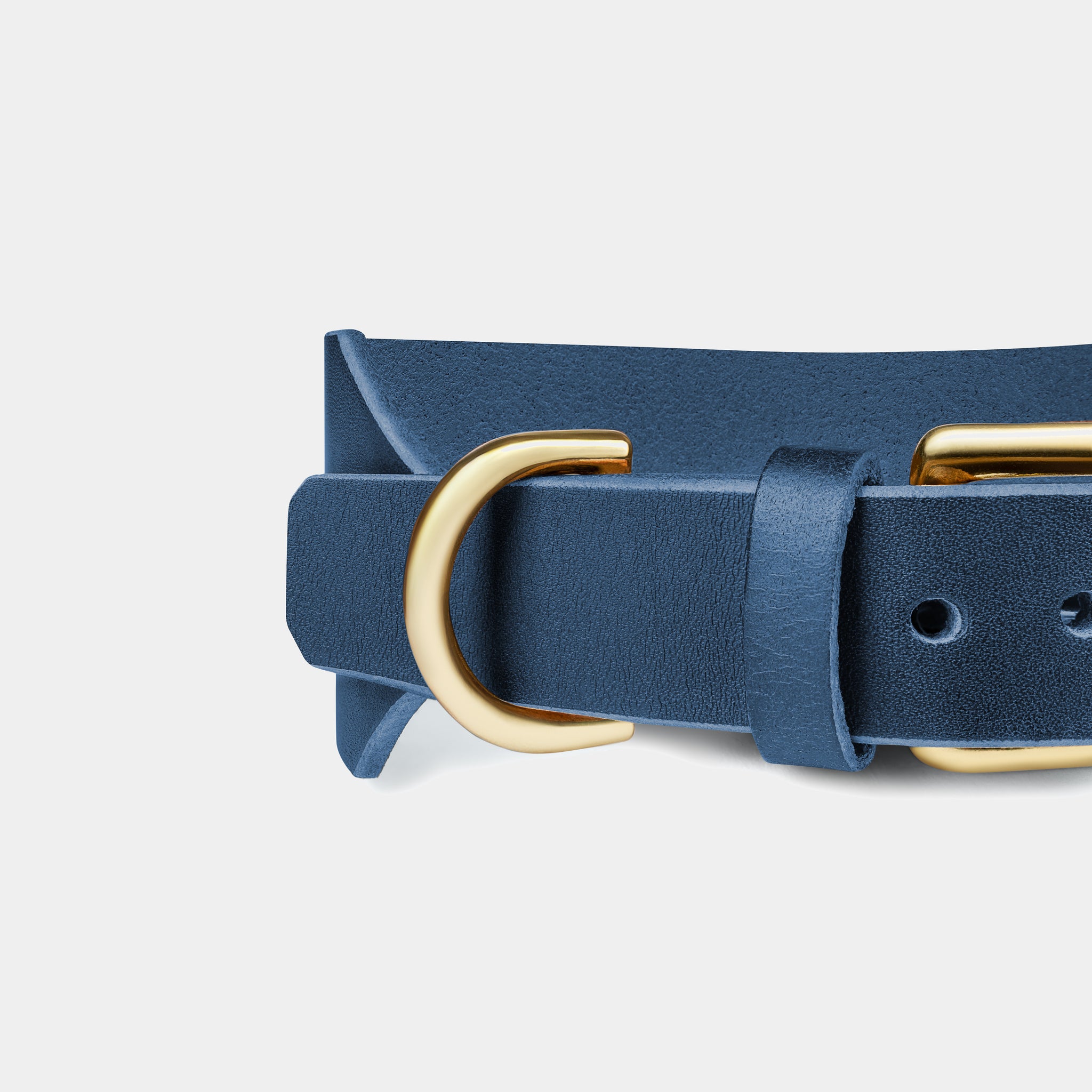 Atlas Leather Collar & Aura Handsfree Leash in Midnight Navy