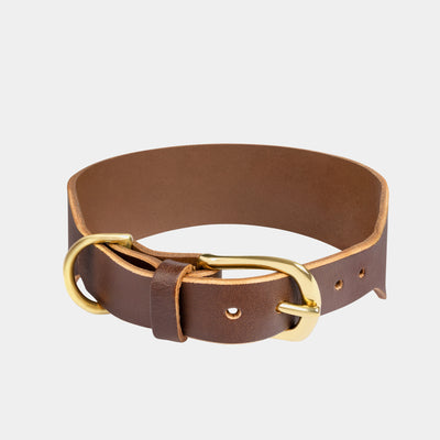 Atlas Wide Dog Collar in Coffee Brown