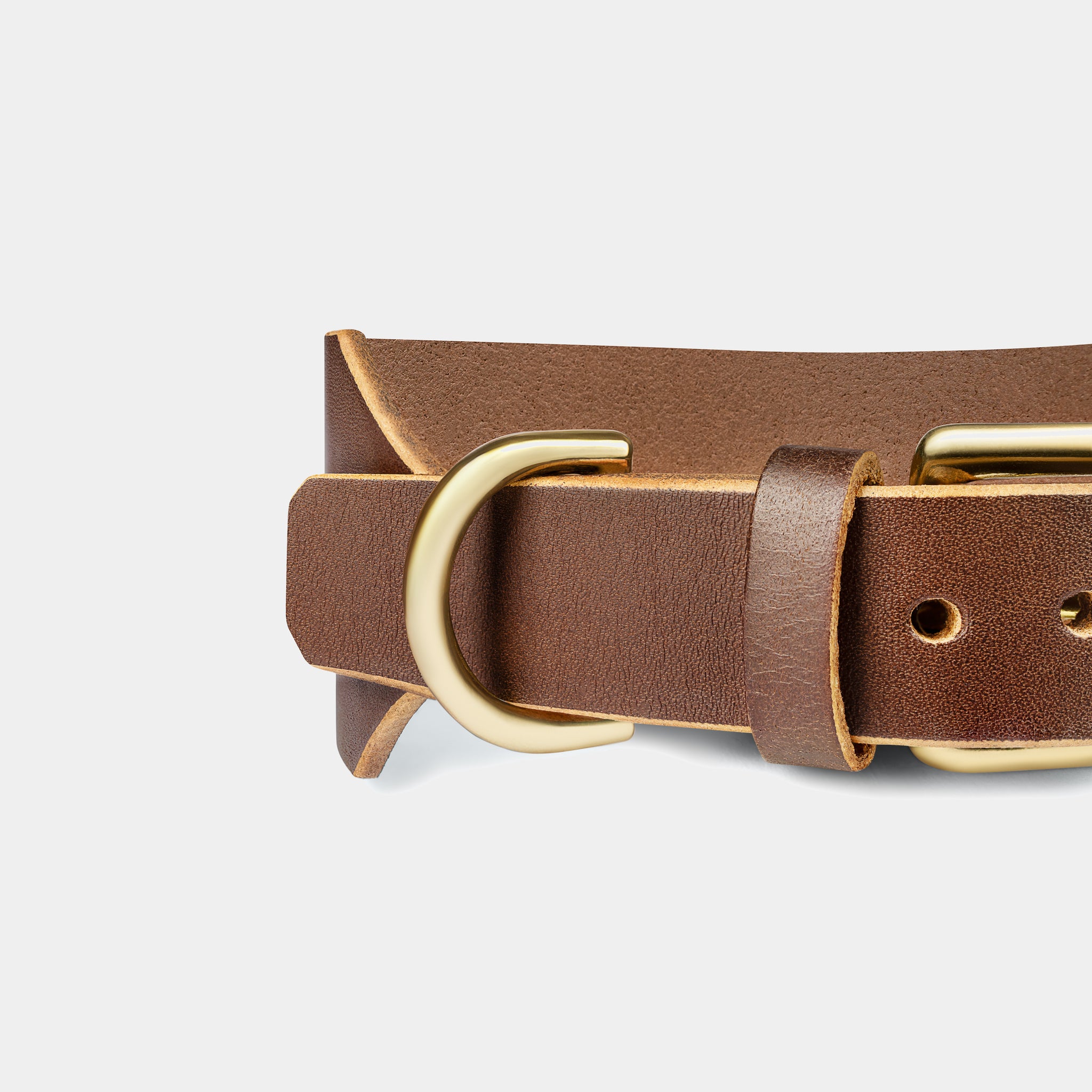 Atlas Wide Dog Collar in Coffee Brown
