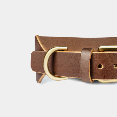 Atlas Wide Dog Collar in Coffee Brown