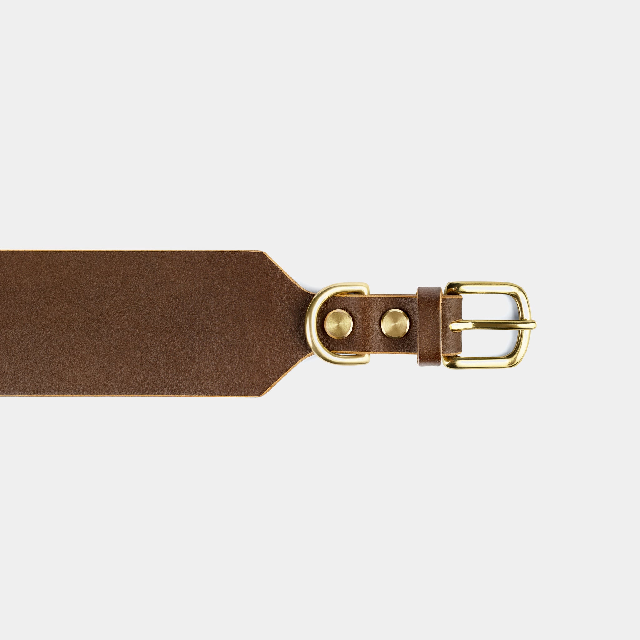 Atlas Wide Dog Collar in Coffee Brown