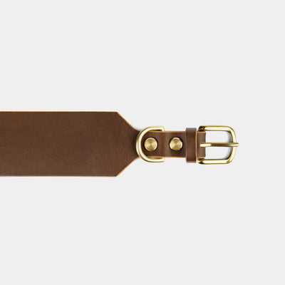 Atlas Wide Dog Collar in Coffee Brown