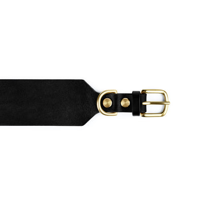 Atlas Wide Dog Collar in Noir by The Dogs Company, showing a close-up of the black wide nylon dog collar with metal hardware.