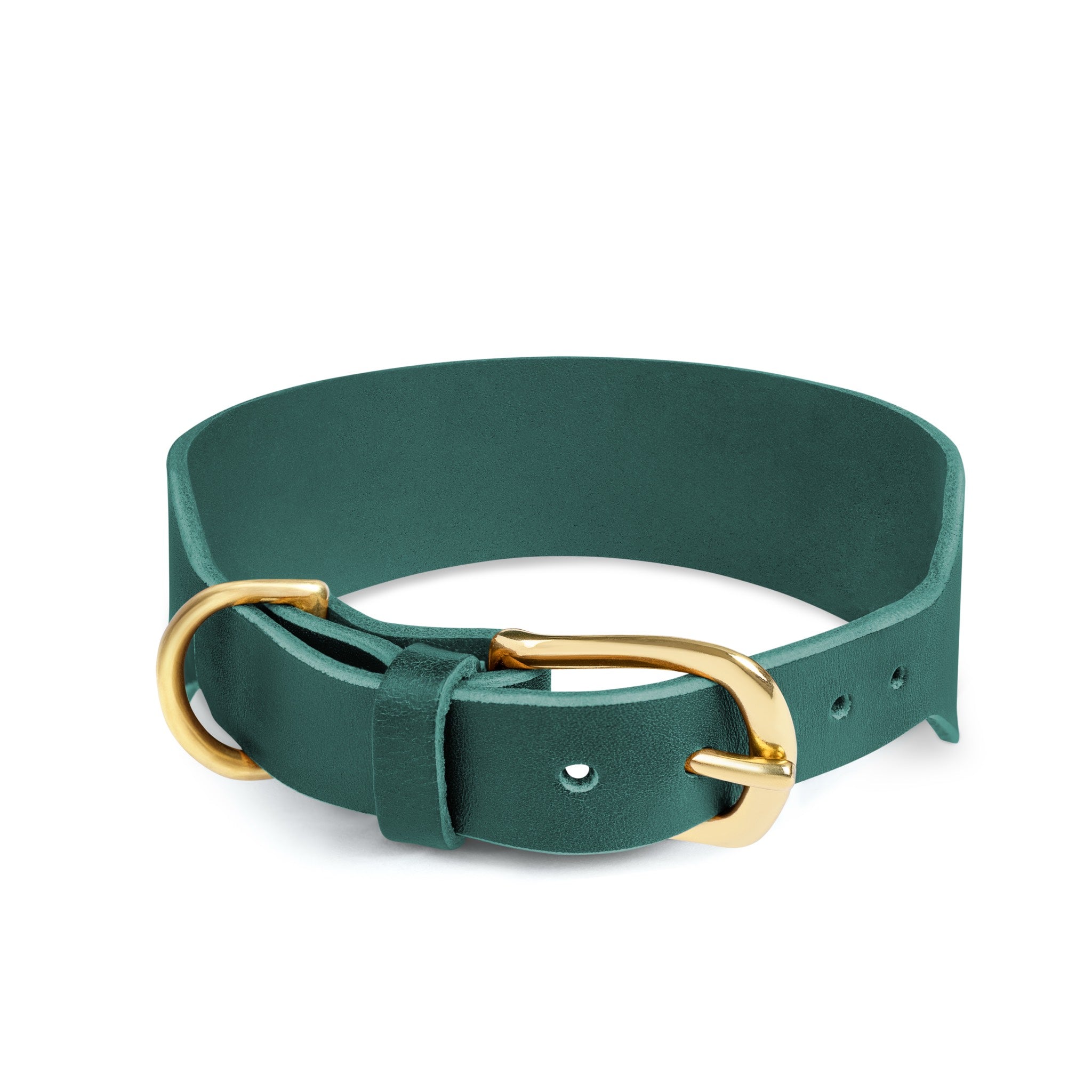 Forest green Atlas wide dog collar by The Dogs Company with sturdy adjustable design and metal buckle.