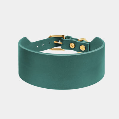 Atlas Leather Collar & Aura Handsfree Leash in Forest Green