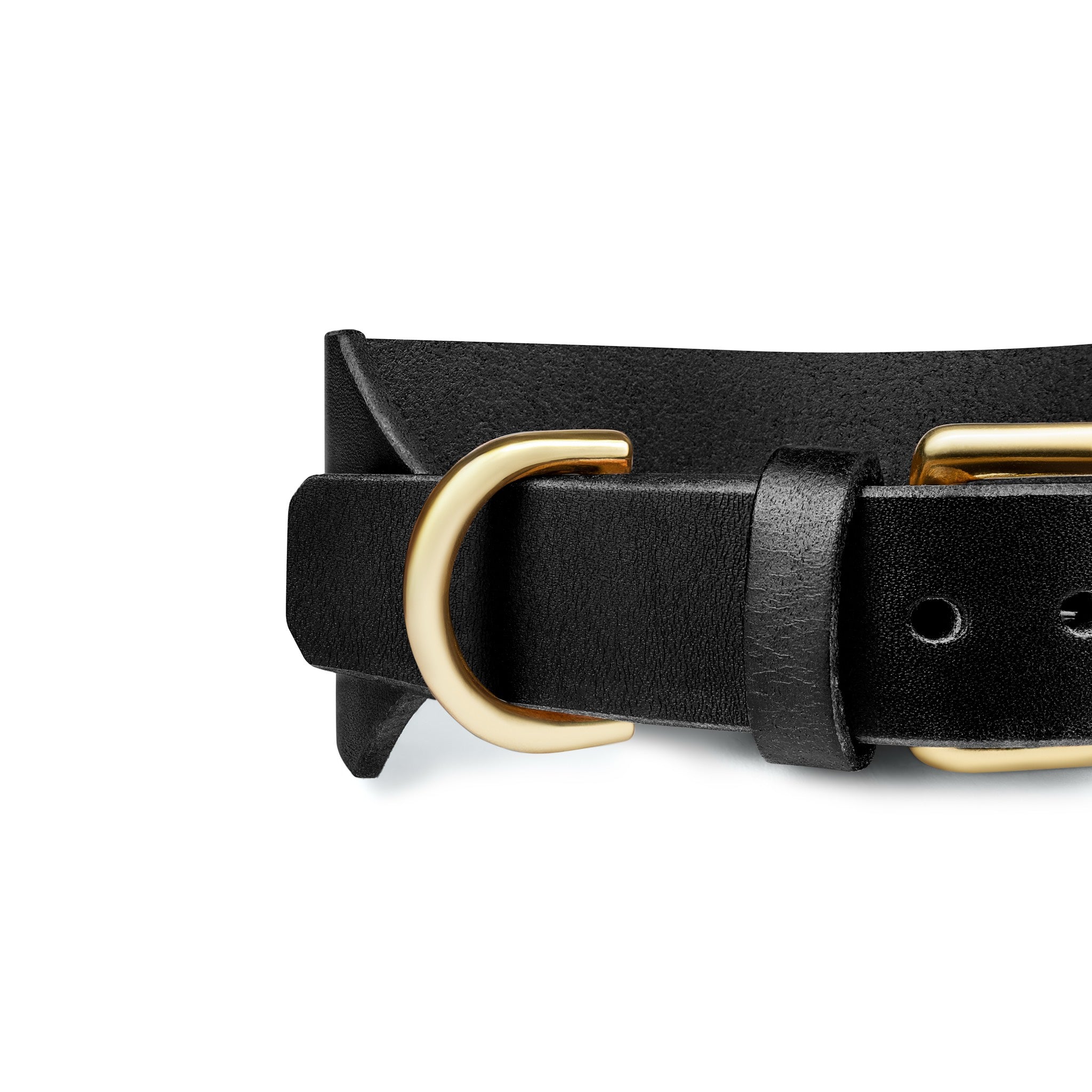 Black Atlas Wide Dog Collar by The Dogs Company featuring durable nylon strap and metal buckle on a dog.