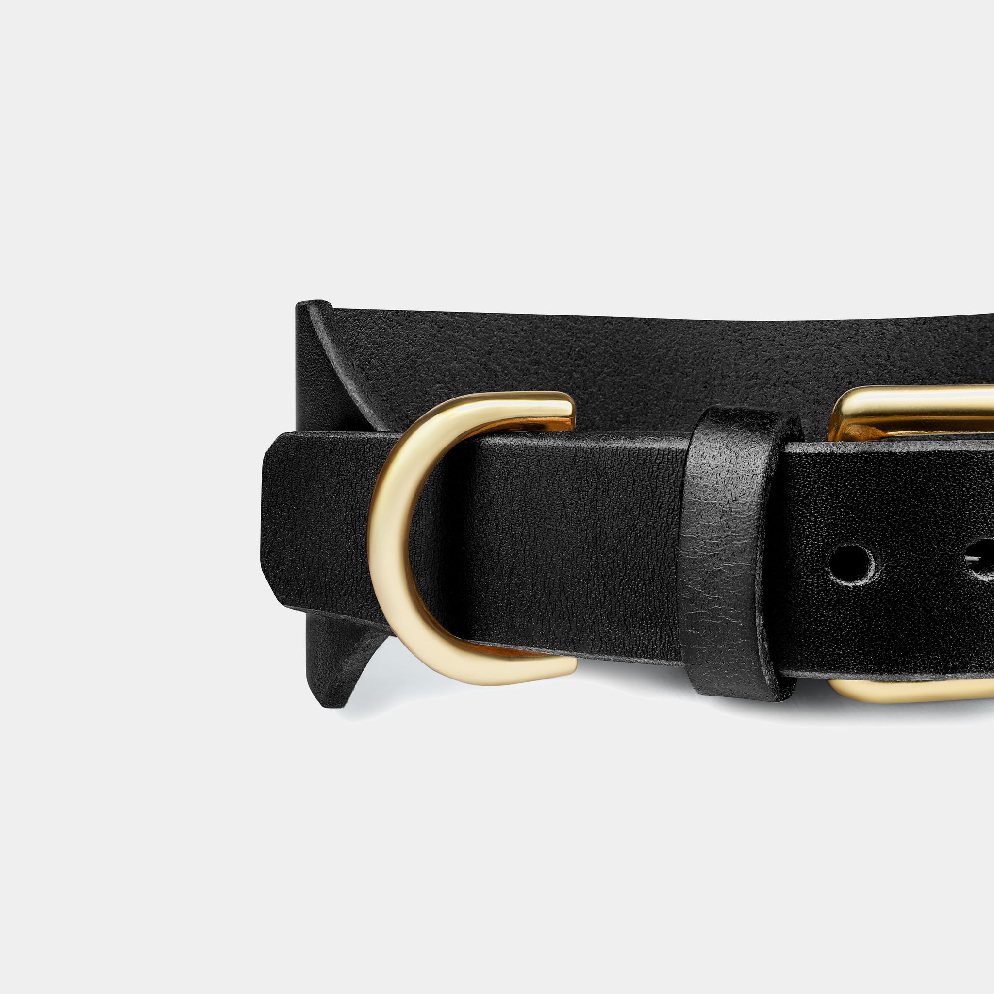 Atlas Wide Dog Collar in Noir