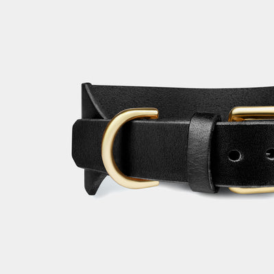 Atlas Wide Dog Collar in Noir