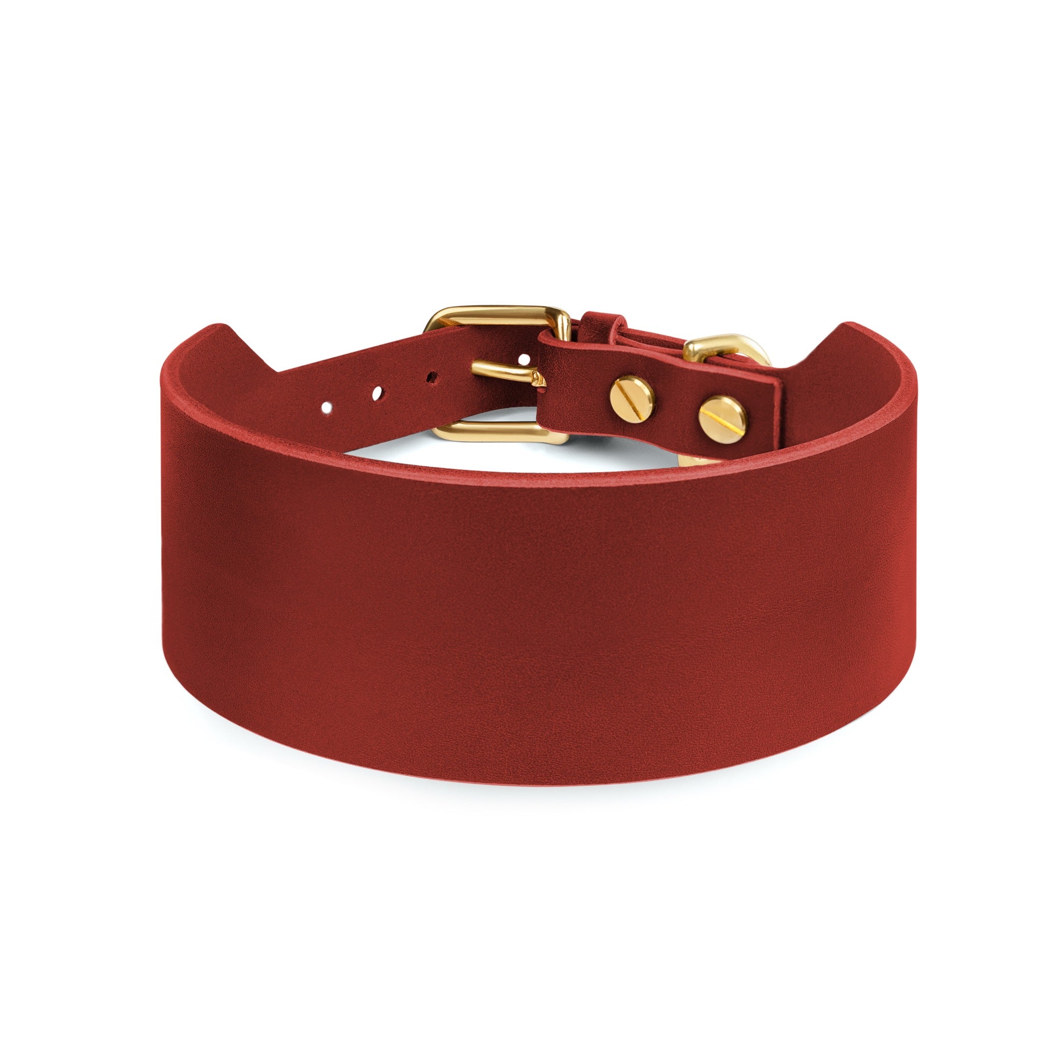 Red Atlas wide dog collar by The Dogs Company, showing a sturdy burgundy leather collar with metal buckle on a dog.