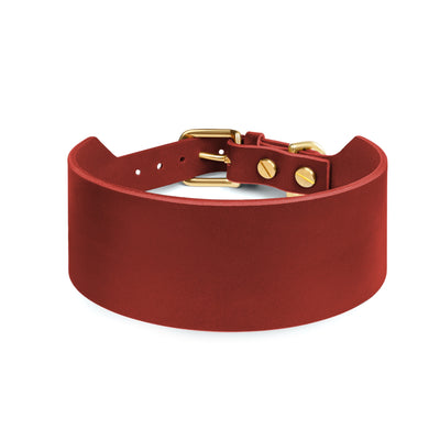 Red Atlas wide dog collar by The Dogs Company, showing a sturdy burgundy leather collar with metal buckle on a dog.