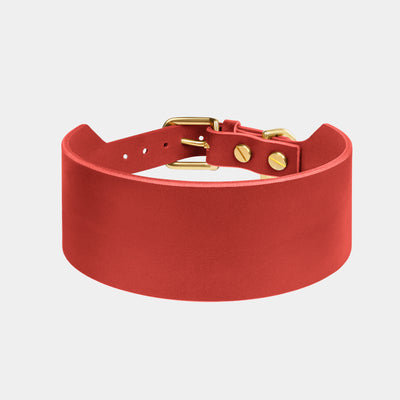 Atlas Leather Collar & Aura Handsfree Leash in Burgundy Red