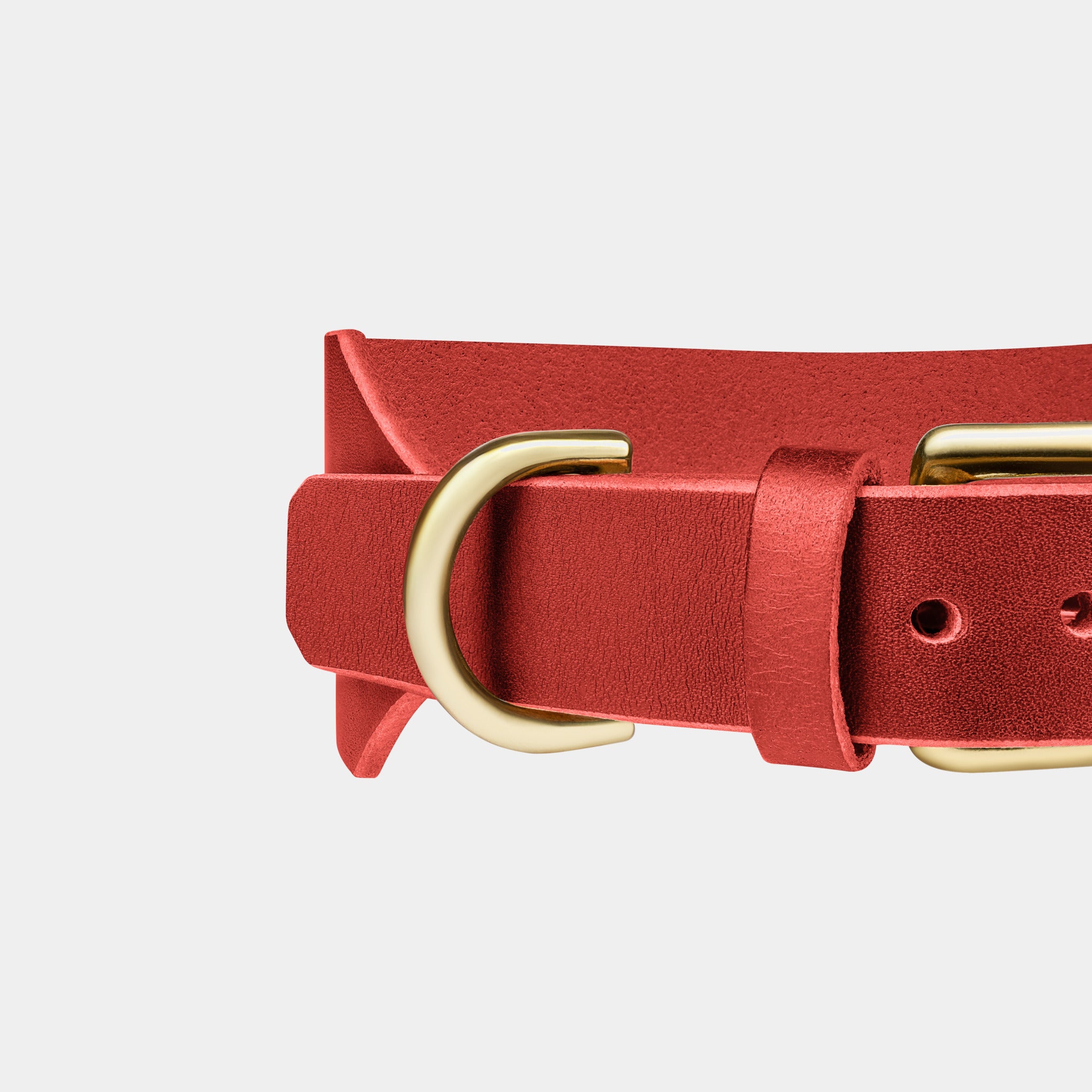 Atlas Leather Collar & Aura Handsfree Leash in Burgundy Red