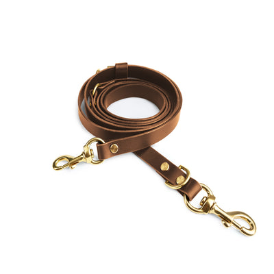 Grace leather collar and Aura handsfree leash in coffee brown from The Dogs Company, showing a stylish leather dog walking set.