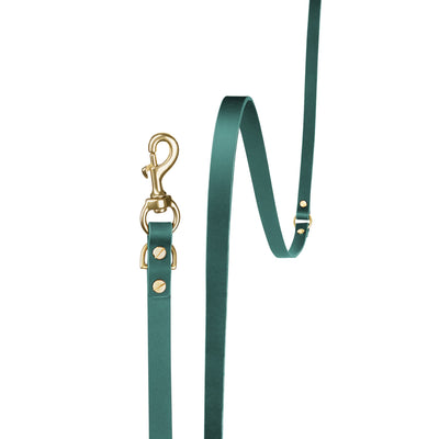 Leather hands-free dog leash in forest green from The Dogs Company, featuring a sturdy design for convenient walking.