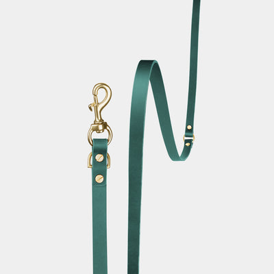Aura Hands-Free Leather Leash in Forest Green