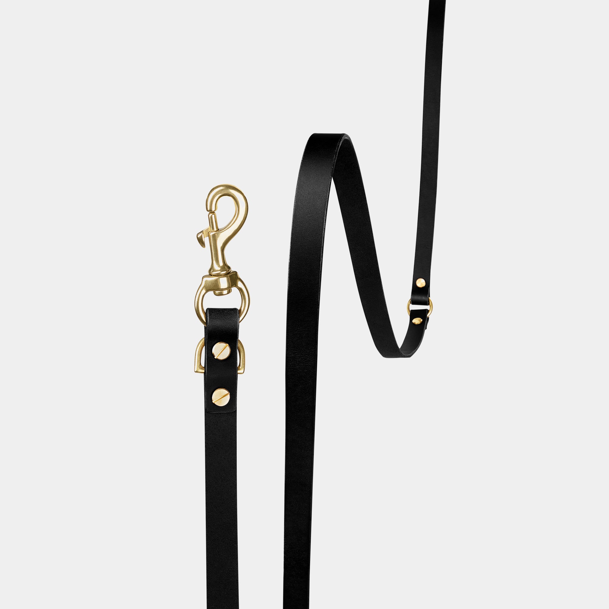 Halo Leather Collar & Aura Handsfree Leash in Noir