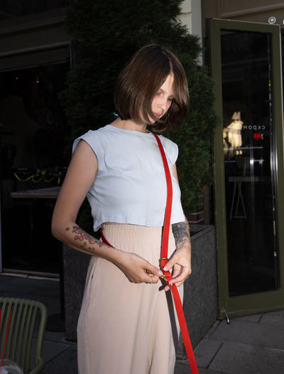 Halo Leather Collar & Aura Handsfree Leash in Burgundy Red