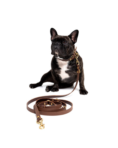 Aura Hands-Free Leather Leash by The Dogs Company in midnight navy, shown in a close-up with a French Bulldog.