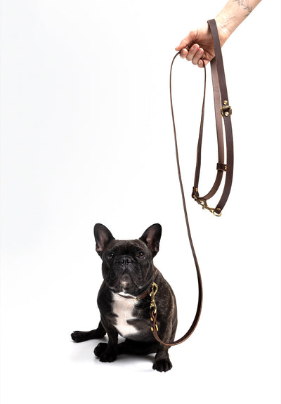 Grace Leather Collar and Aura Handsfree Leash bundle in Midnight Navy for French Bulldog, featuring durable leather and sleek design.