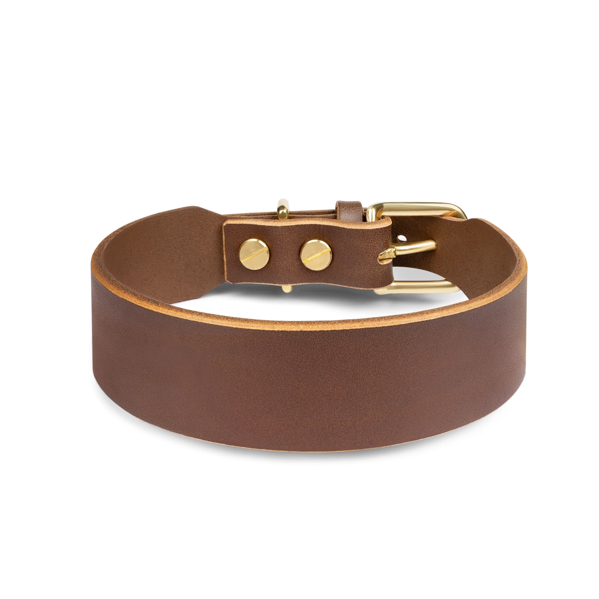 Grace Classic Leather Collar in coffee brown by The Dogs Company, showing a stylish leather dog collar with metal buckle and stitching.