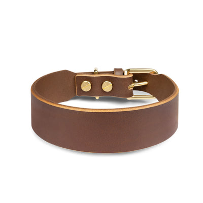 Grace Classic Leather Collar in coffee brown by The Dogs Company, showing a stylish leather dog collar with metal buckle and stitching.