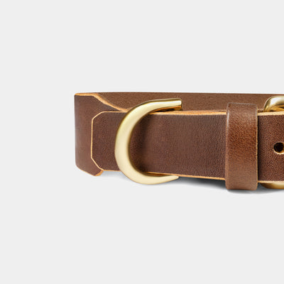 Grace Classic Leather Collar in Coffee Brown