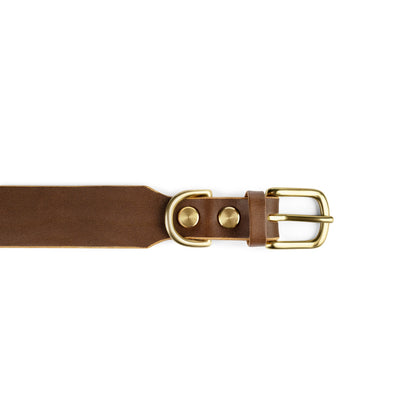 Grace Classic Leather Collar in coffee brown by The Dogs Company, featuring a durable leather design with metal buckle and adjustable fit.