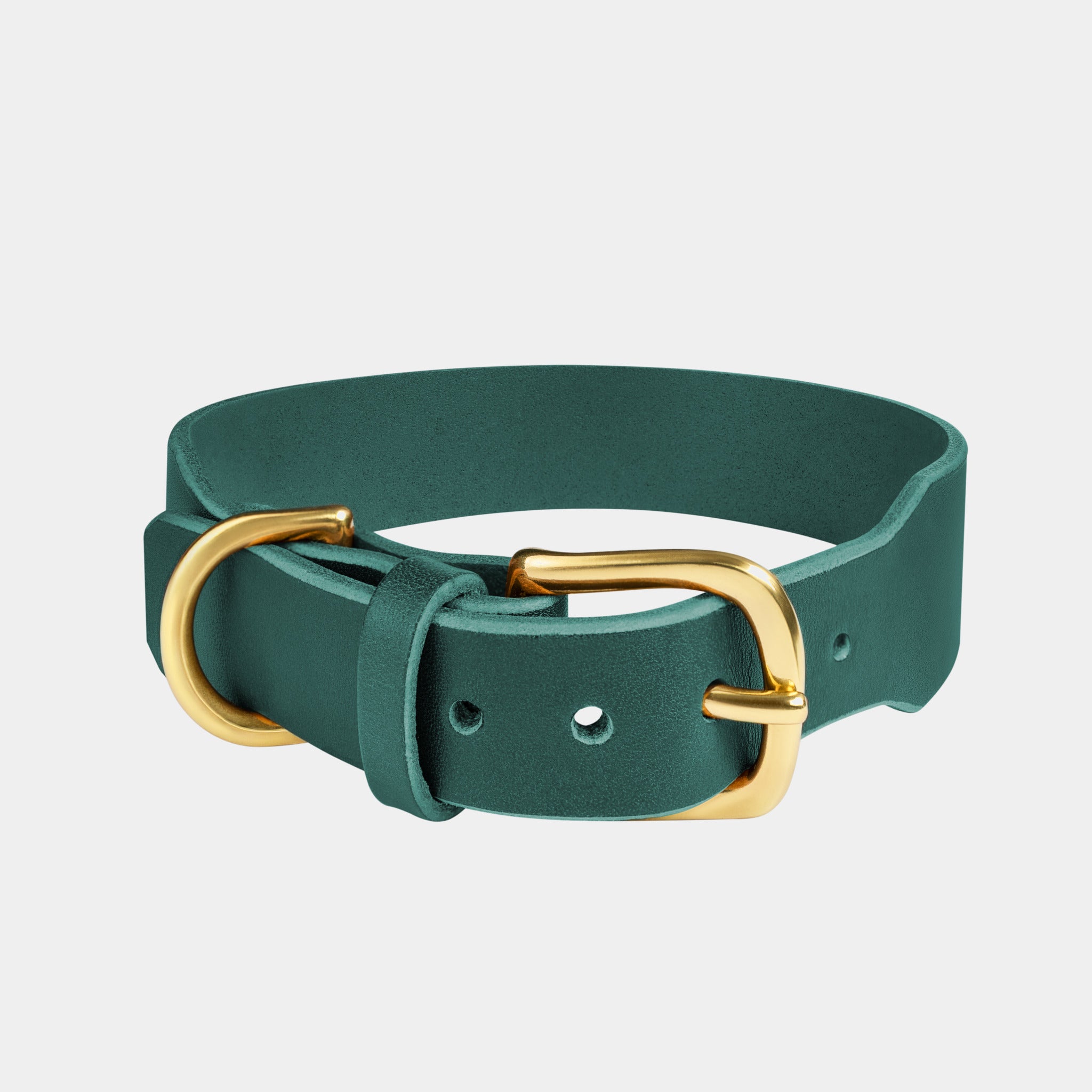 Grace Leather Collar & Aura Handsfree Leash in Forest Green