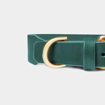 Grace Leather Collar & Aura Handsfree Leash in Forest Green