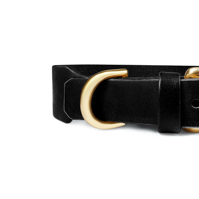 Grace Classic Leather Collar in Noir black by The Dogs Company, showing a sleek black leather dog collar with metal buckle.