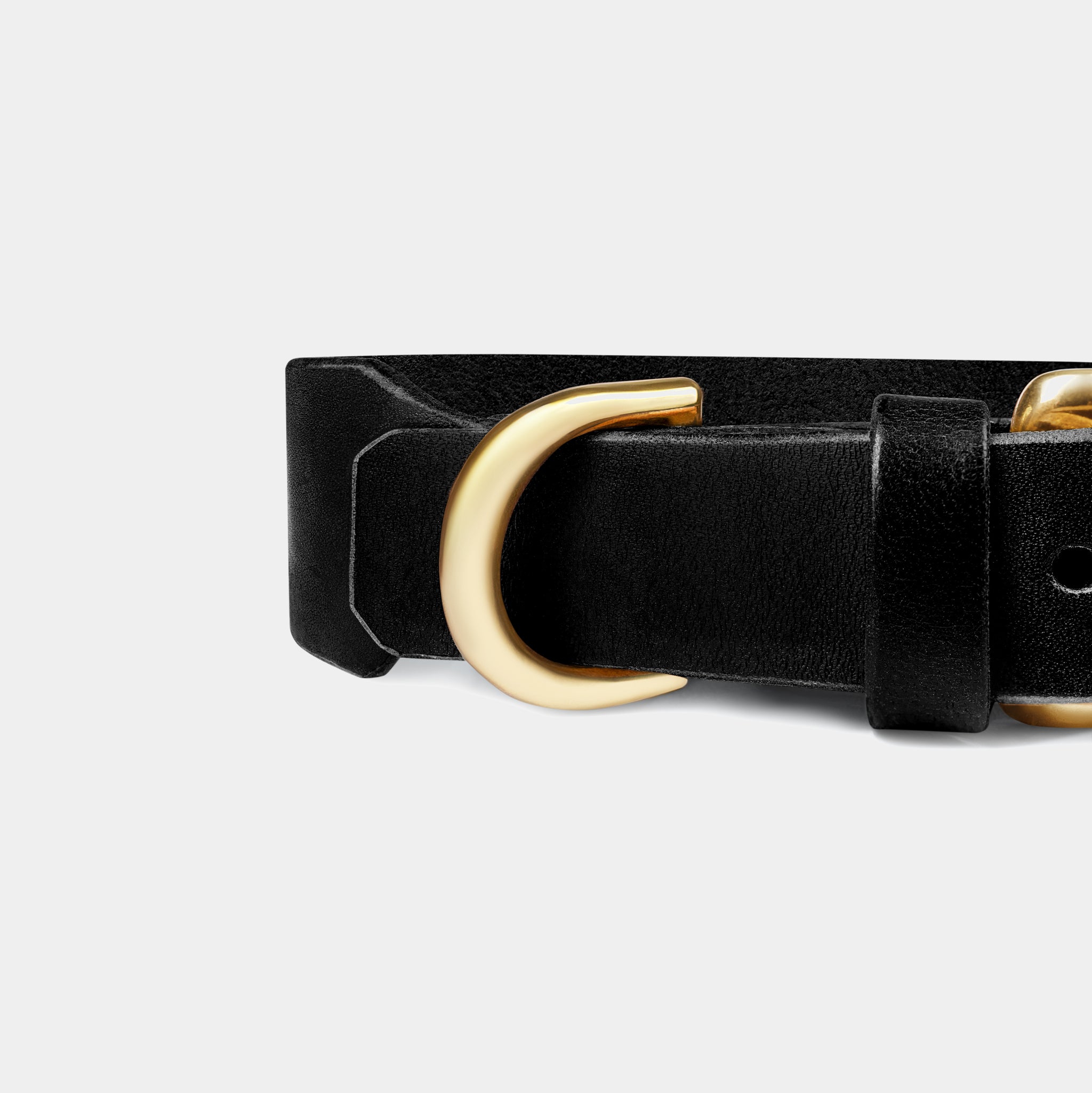 Grace Leather Collar & Aura Handsfree Leash in Noir