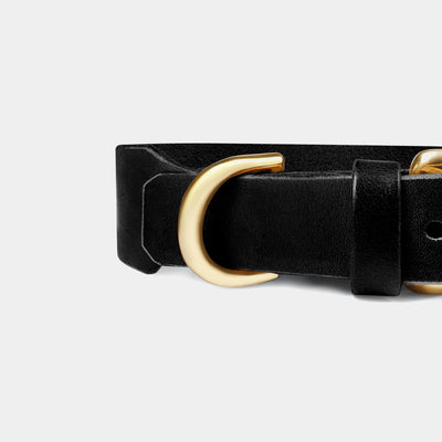 Grace Leather Collar & Aura Handsfree Leash in Noir