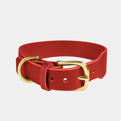 Grace Classic Leather Collar in Burgundy Red