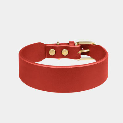 Grace Classic Leather Collar in Burgundy Red