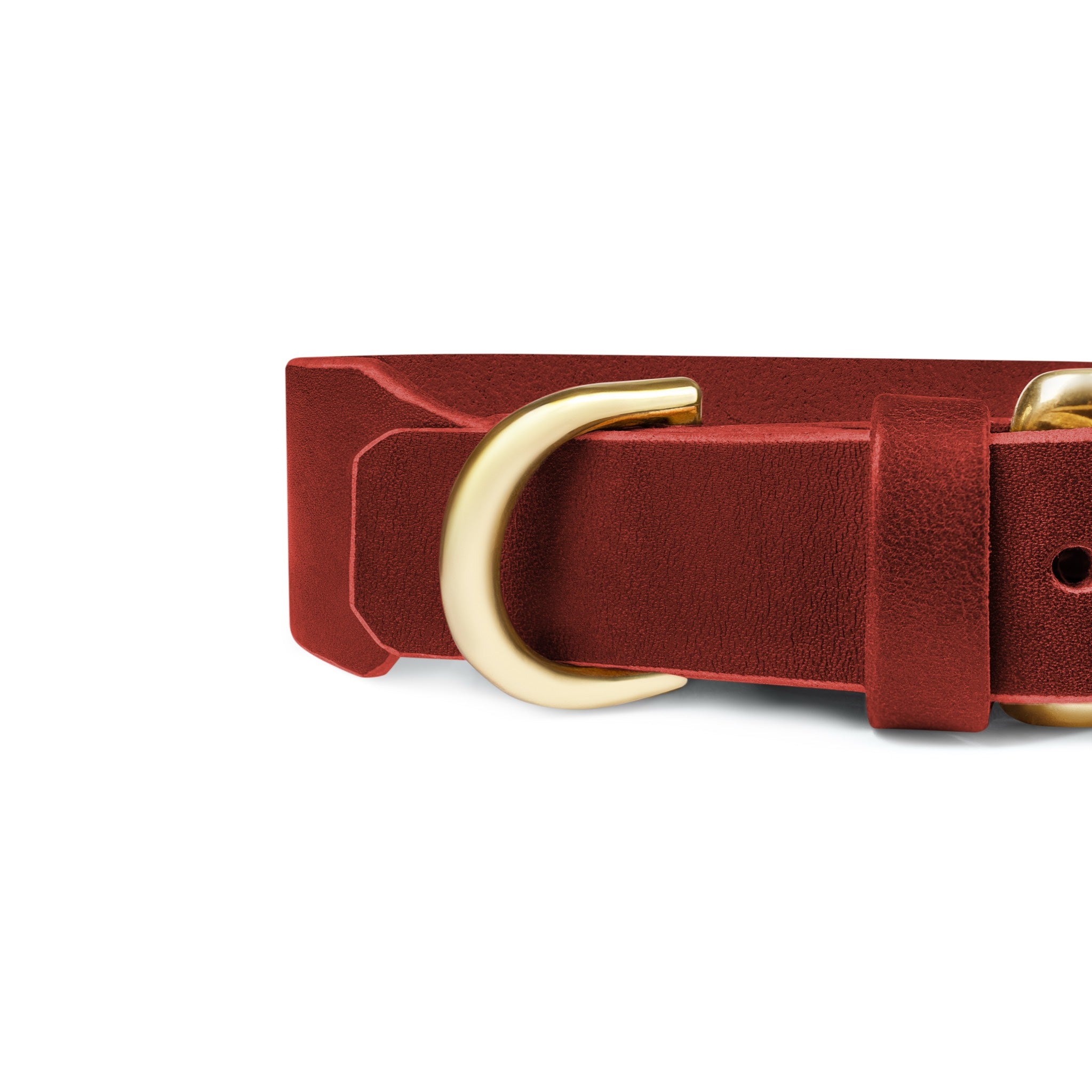 Grace Classic leather dog collar in burgundy red with brass hardware from The Dogs Company, shown on a well-lit display.